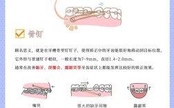 正畸微螺丝钉有何作用？