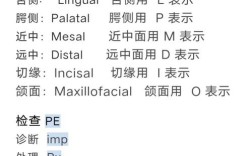 口腔正畸科医生的英文正确说法是什么？