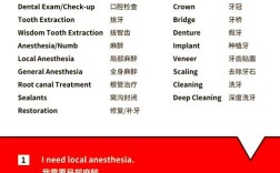 牙齿矫正英语怎么说