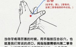 中医治疗牙痛有哪些独特方法？不同证型牙痛如何辨证施治，效果是否真的可靠？