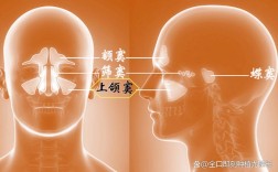 额窦粘膜恢复的有效方法有哪些？