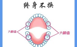 少儿种牙适宜吗？需满足哪些条件？