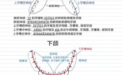 口腔科常用麻醉方法