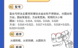 正畸弓丝型号大全