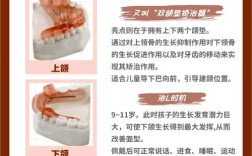 正畸TB与SGTB的区别究竟是什么？关键差异点及临床应用解析？