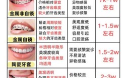 钢牙矫正牙齿要多少钱