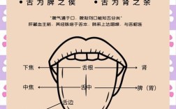 中医治疗舌炎的最佳方法