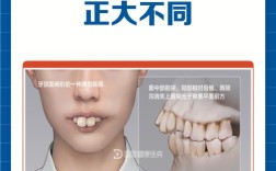正畸和牙颌正畸区别
