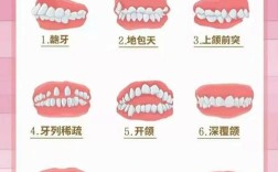 矫正牙齿分几个阶段