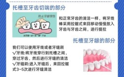 正畸调整怎么刷牙