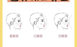 正畸侧貌面型分类标准