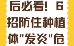 种牙术后吸烟为何不可？后果有多严重？