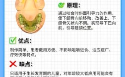 正畸TPA的作用是什么？