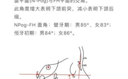 正畸治疗中如何准确测量牙齿所需的间隙？