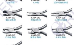 正畸 瑞尔 价格