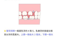正畸牙齿究竟能移动多少距离？