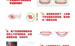 咬合检查的方法有哪些具体步骤？