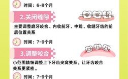 牙齿矫正过程和时间