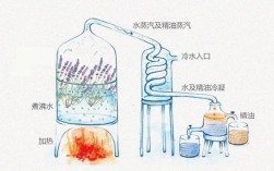 藻酸盐提取方法