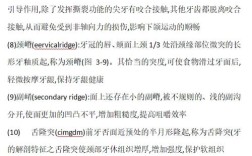 口腔O点表示正畸