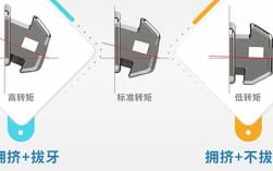 什么时正畸的转矩