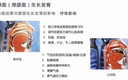 mrc牙齿矫正适合几岁开始？最佳矫正年龄是什么时候？