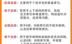 口腔正畸橡皮圈有哪些分类？不同分类有何区别？