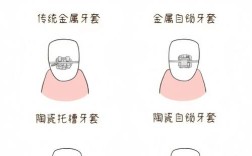 正畸托槽不见了，该怎么处理？