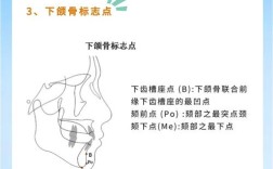 免费正畸头影测量软件的功能是否全面？其测量准确性和临床适用性如何保障？