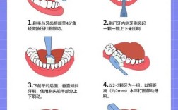 什么是正确的口腔护理方法？图解详解刷牙、牙线使用及日常护理技巧