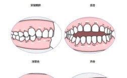 正畸牙齿移动的范围