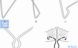 舌簧弯制方法图解中，具体弯制步骤有哪些？如何通过图示掌握关键技巧与常见问题解决方法？
