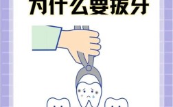 正颌术前正畸需要拔牙吗