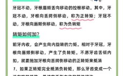 正畸知识初学者