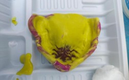 如何制作口腔托盘？详细步骤、材料准备及注意事项有哪些？