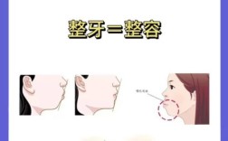 正畸治疗过程中下巴形态发生变化，究竟与牙齿移动的力学作用、骨骼改建机制还是肌肉功能调整相关？