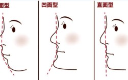 正畸测量各角度问题