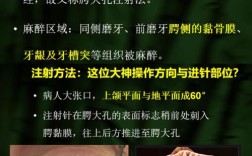 牙周膜麻醉方法