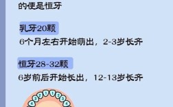 乳牙表示方法有哪些？常用符号是什么？