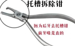 正畸小平头钳是什么