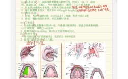 口腔局麻方法有几种？常见类型、适用范围及临床应用详解