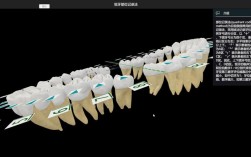 正畸3d模拟软件