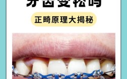 矫正牙齿为何会导致牙齿松动？