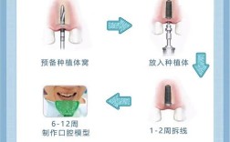 多久？全过程时间周期详解