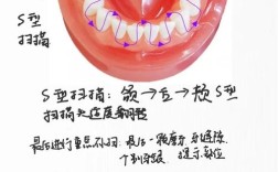 口腔打结如何运用压节技巧？操作要点有哪些？