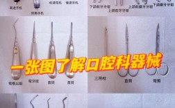 如何正确处理口腔钳子？规范方法与步骤