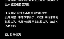 电子根尖测定仪使用方法有哪些关键步骤？