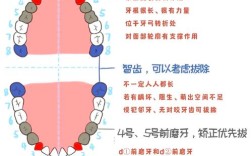 正畸拔六号牙收前牙的原理和作用是什么？
