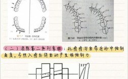 正畸第二序列弯制