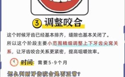 牙齿正畸曲为何能在矫正中精准调控牙齿移动？其力学作用原理与牙齿移动方向有何关联？
